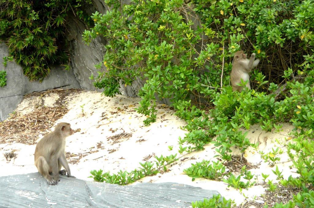 Monkey Island Resort Cat Ba Island Exterior photo