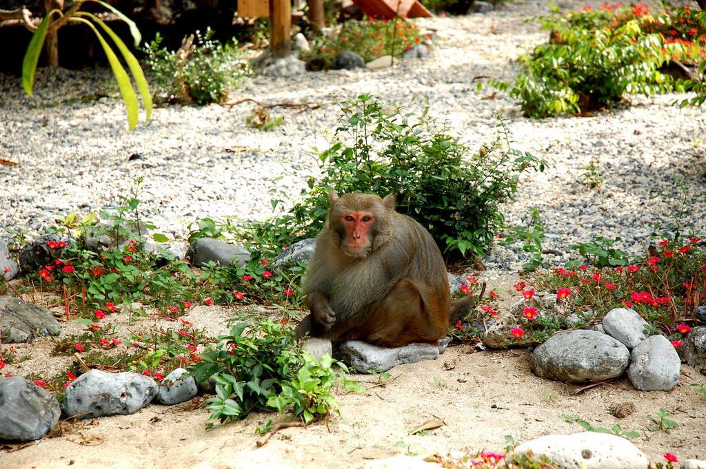 Monkey Island Resort Cat Ba Island Exterior photo